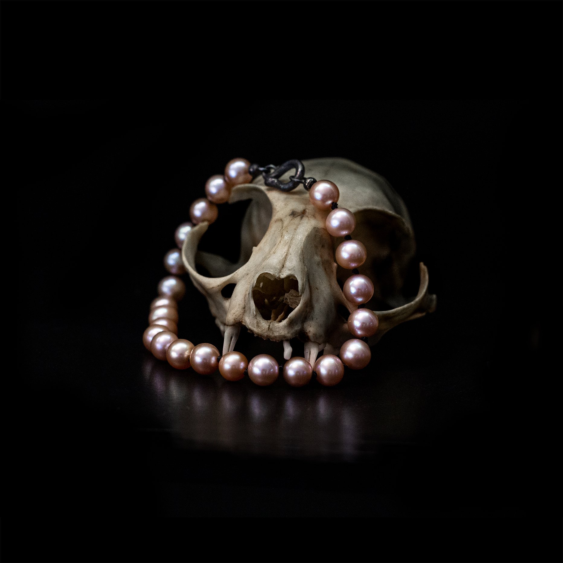 Lyserøde perler og sort sølv lås udstillet på kattekranie.